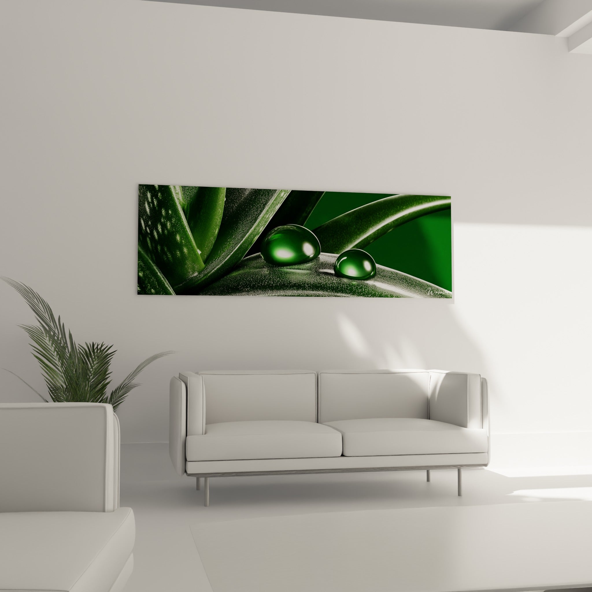 Plante Aloe vera aux teintes vert clair et vert émeraude au-dessus d'un canapé dans un salon lumineux