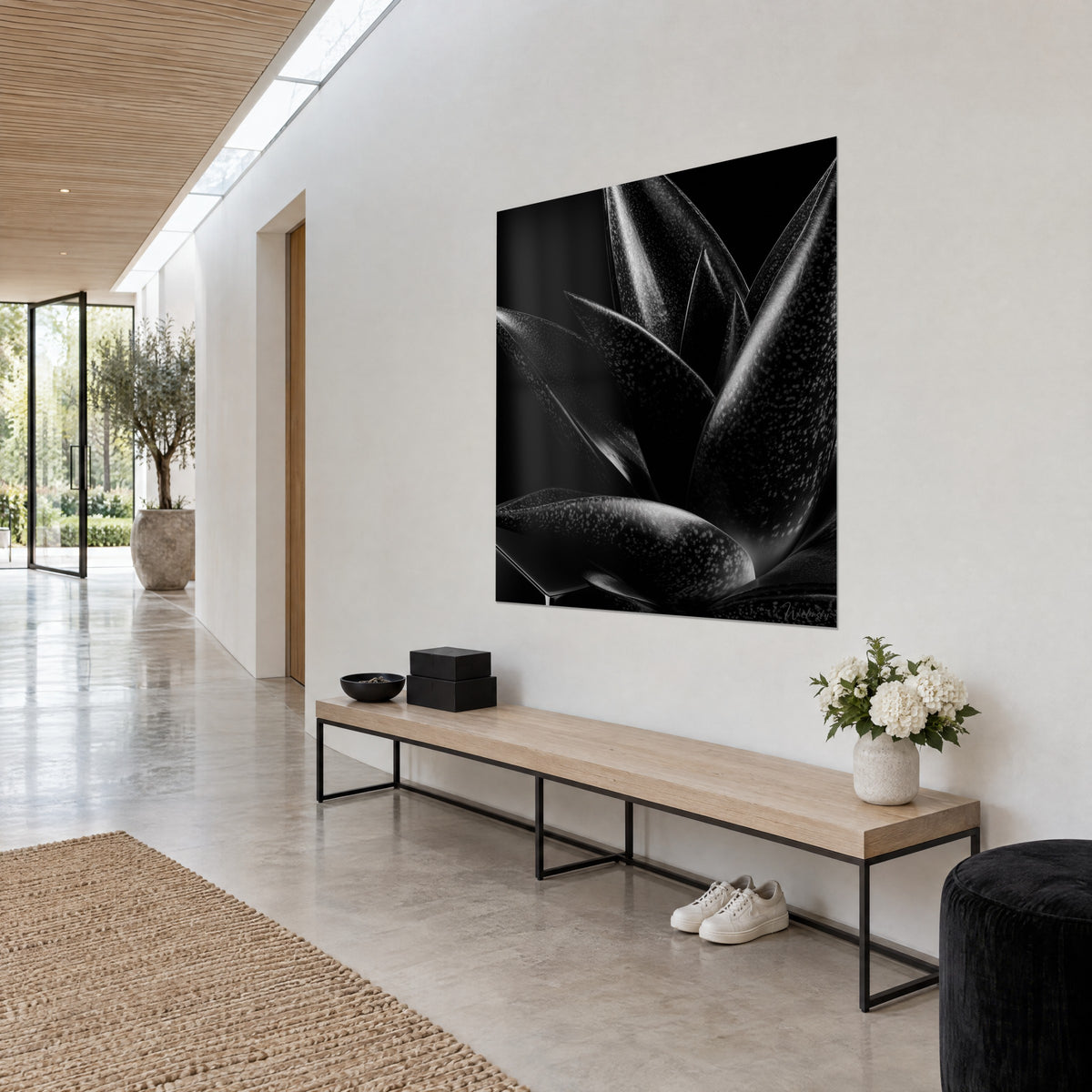 Tableau succulente aux lames charbon éclairées de blanc, taches argentées sur fond noir, mur clair d'un couloir vitré