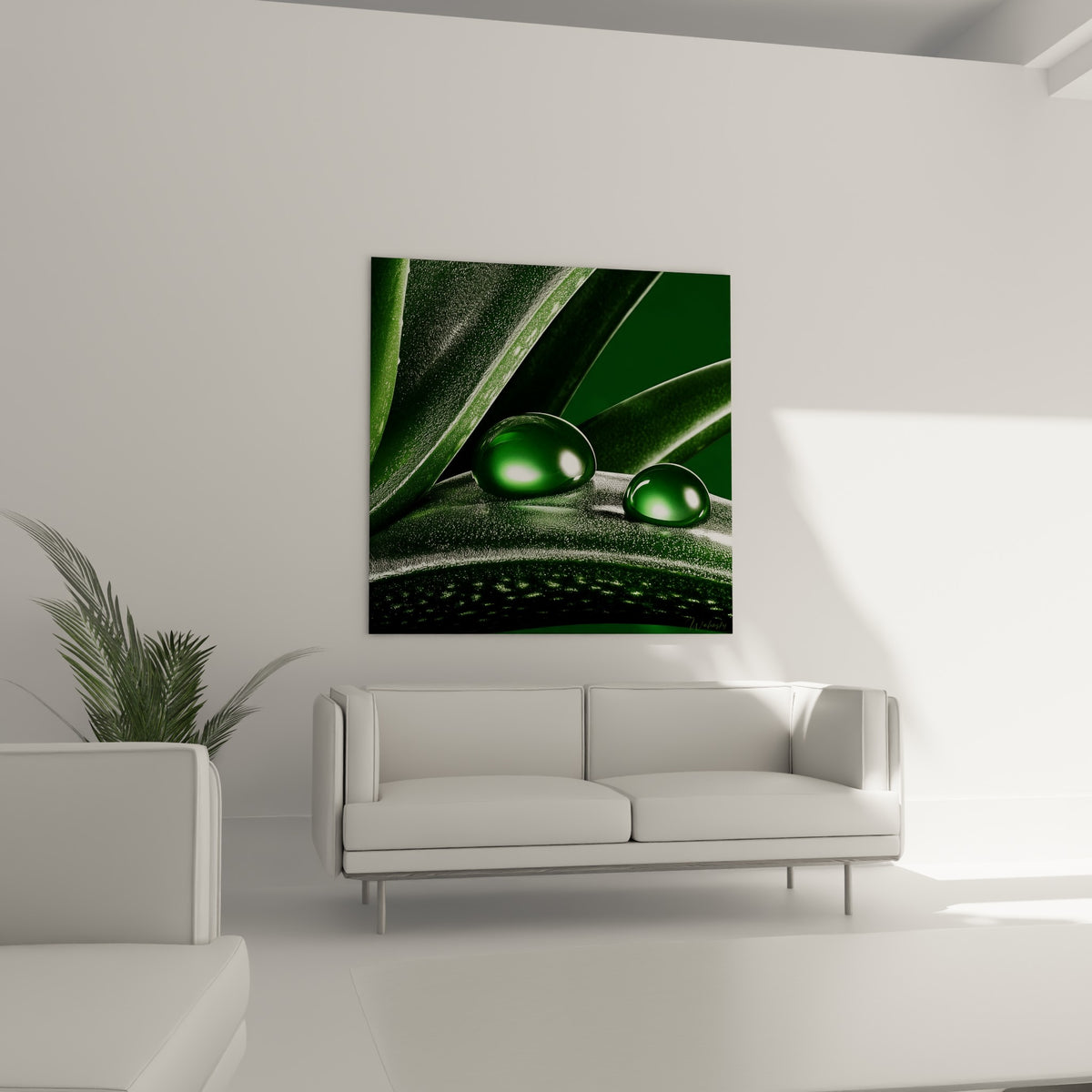 Aloe vera aux nervures vertes et gouttes translucides accroché au-dessus d'un canapé dans un salon lumineux