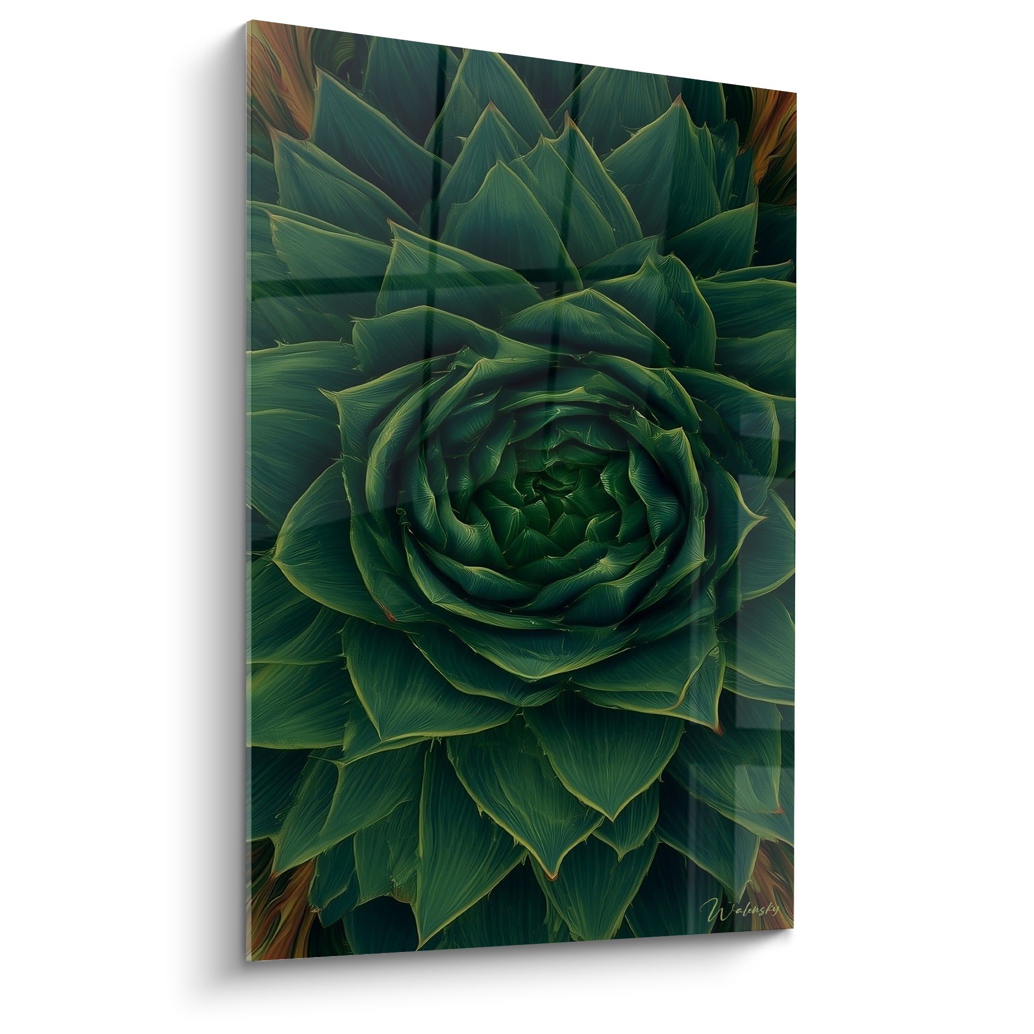 Spirale de feuilles vert émeraude et bronze cuivré, plante grasse en gros plan pictural.
