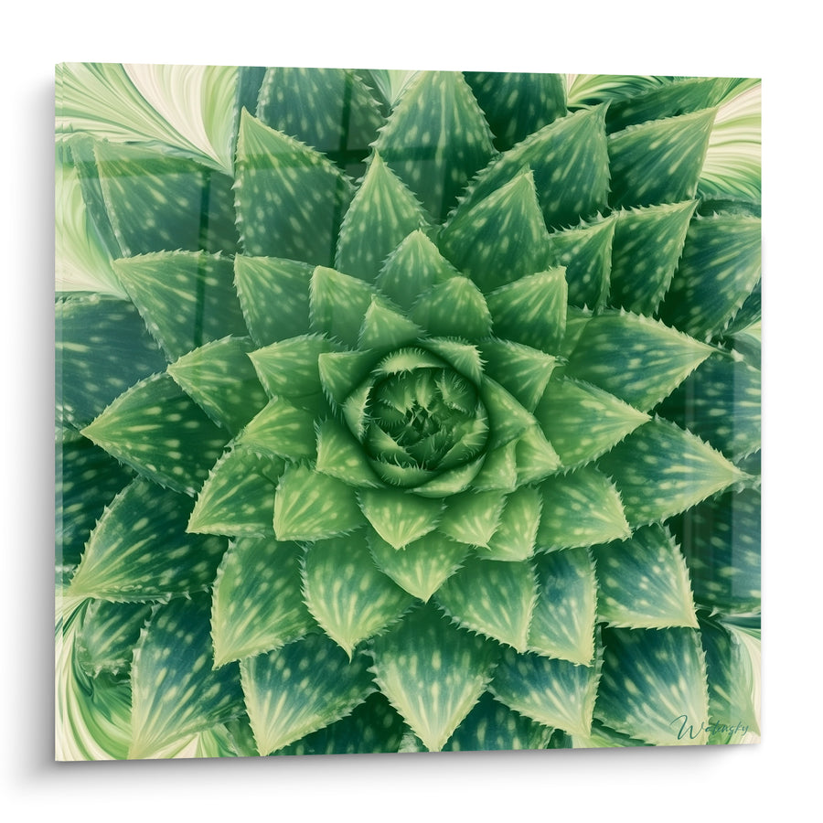 Tableau Aloe vera vert et blanc en spirale - Spirale végétale - Edition Aloe vera
