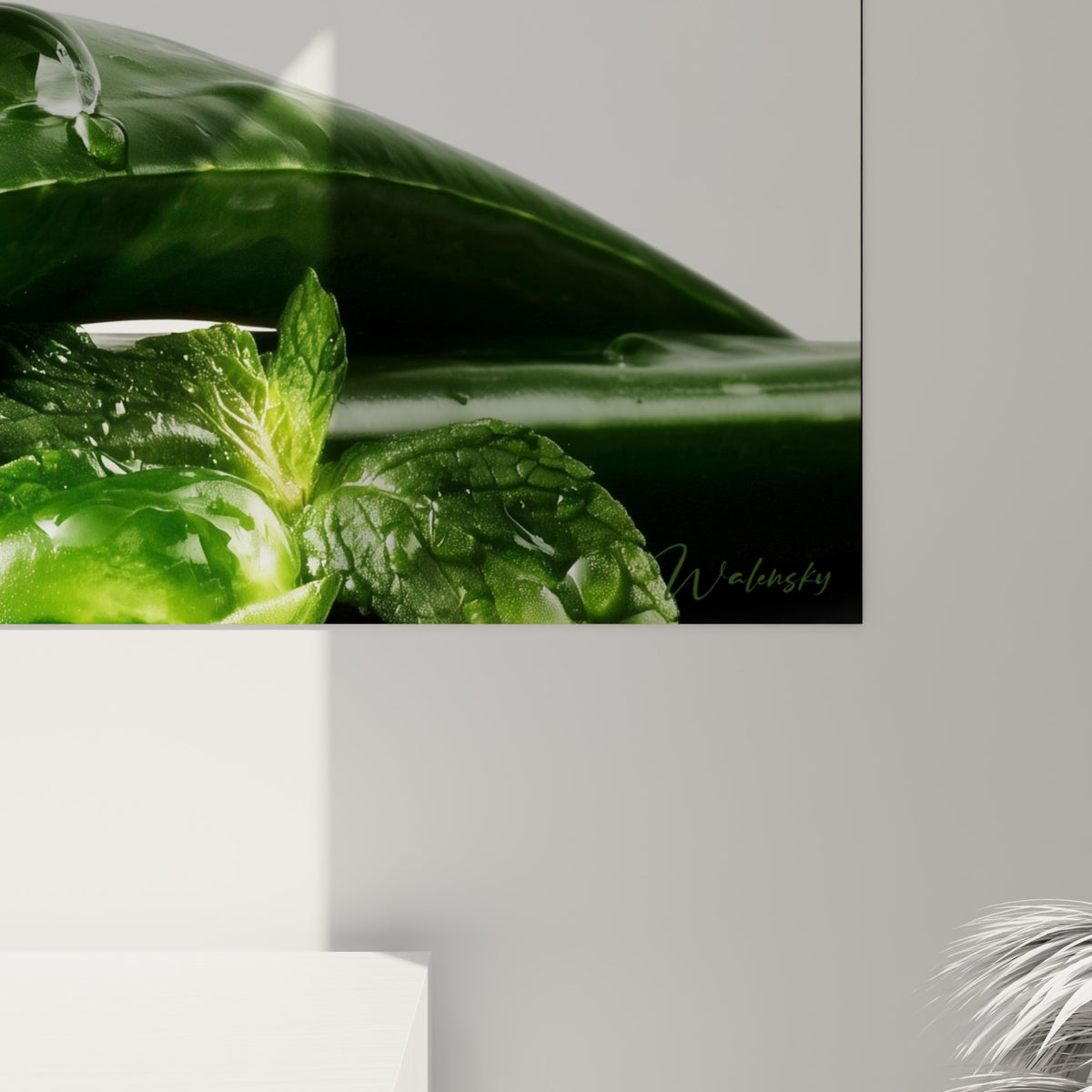 Gouttes d'eau argentées sur la texture lisse et charnue des feuilles vert émeraude de l'aloe vera