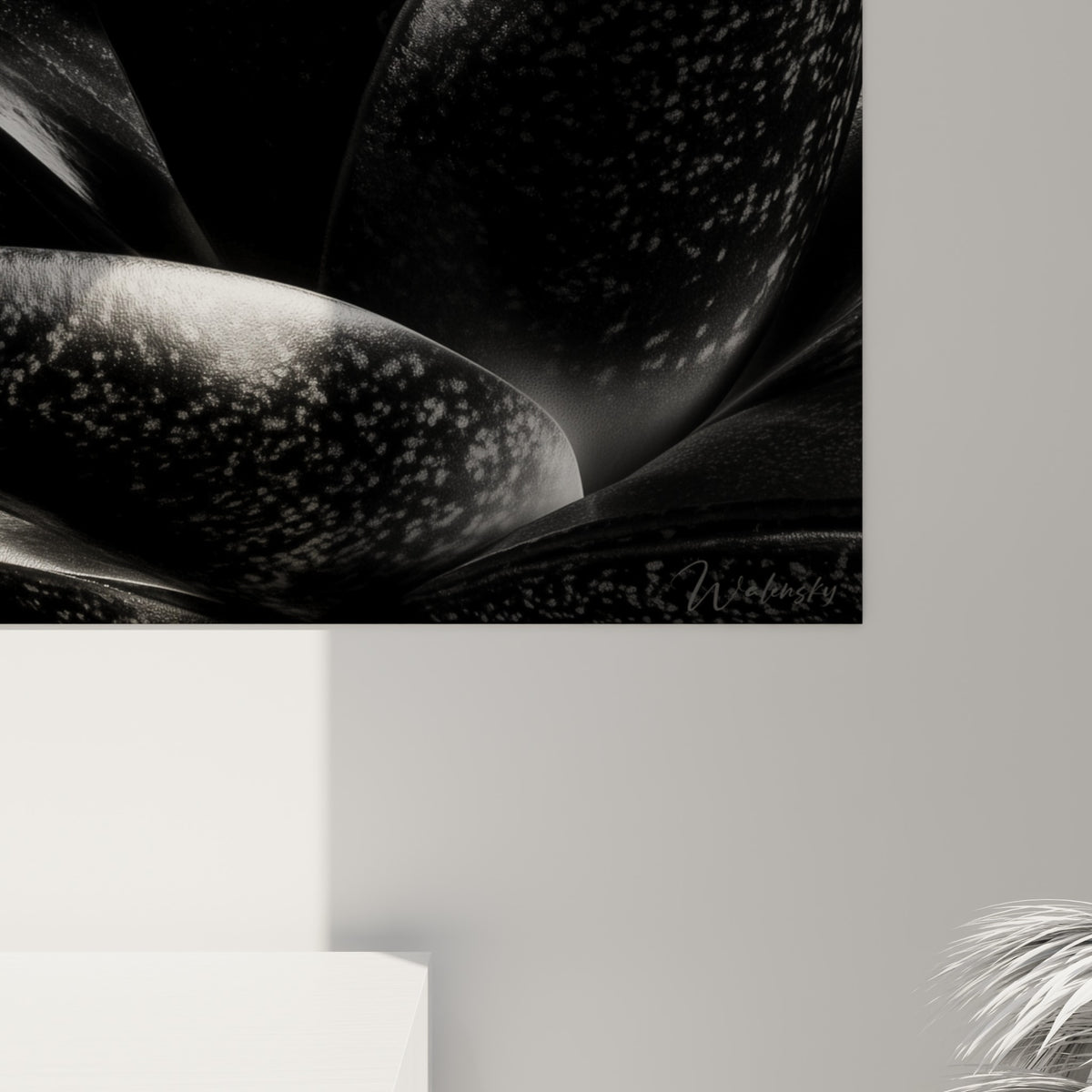 Grain photographique visible sur les feuilles d'aloe vera, taches argentées et arêtes lumineuses détaillées
