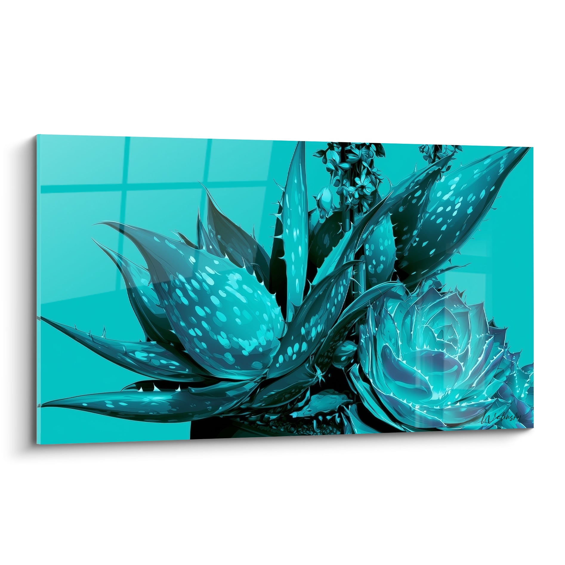 Aloe vera turquoise aux feuilles tachetées de blanc, composition graphique sur fond noir et bleu vif.