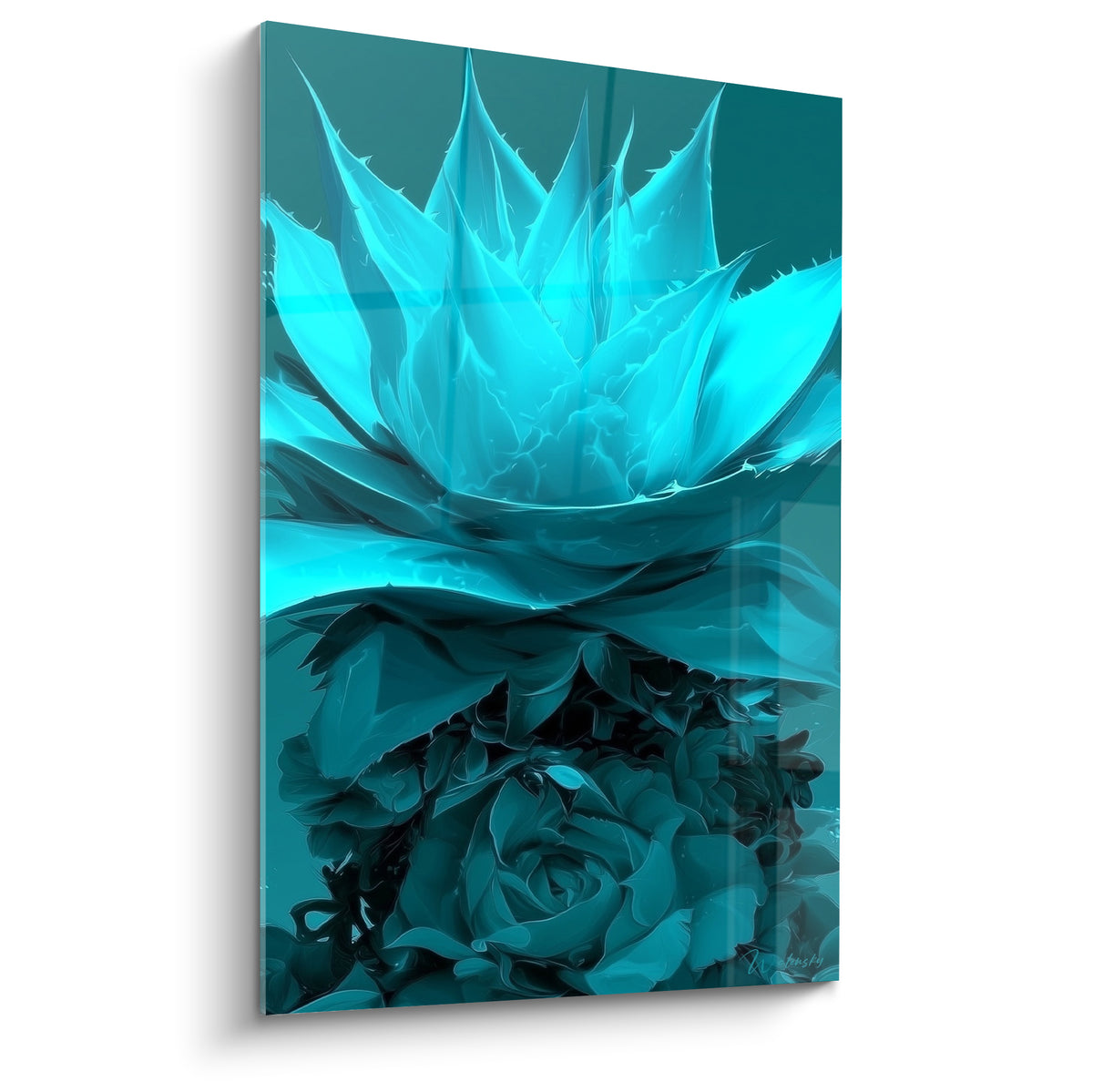 Aloe vera turquoise aux feuilles pointues, fond dégradé bleu et rosette anthracite en écho