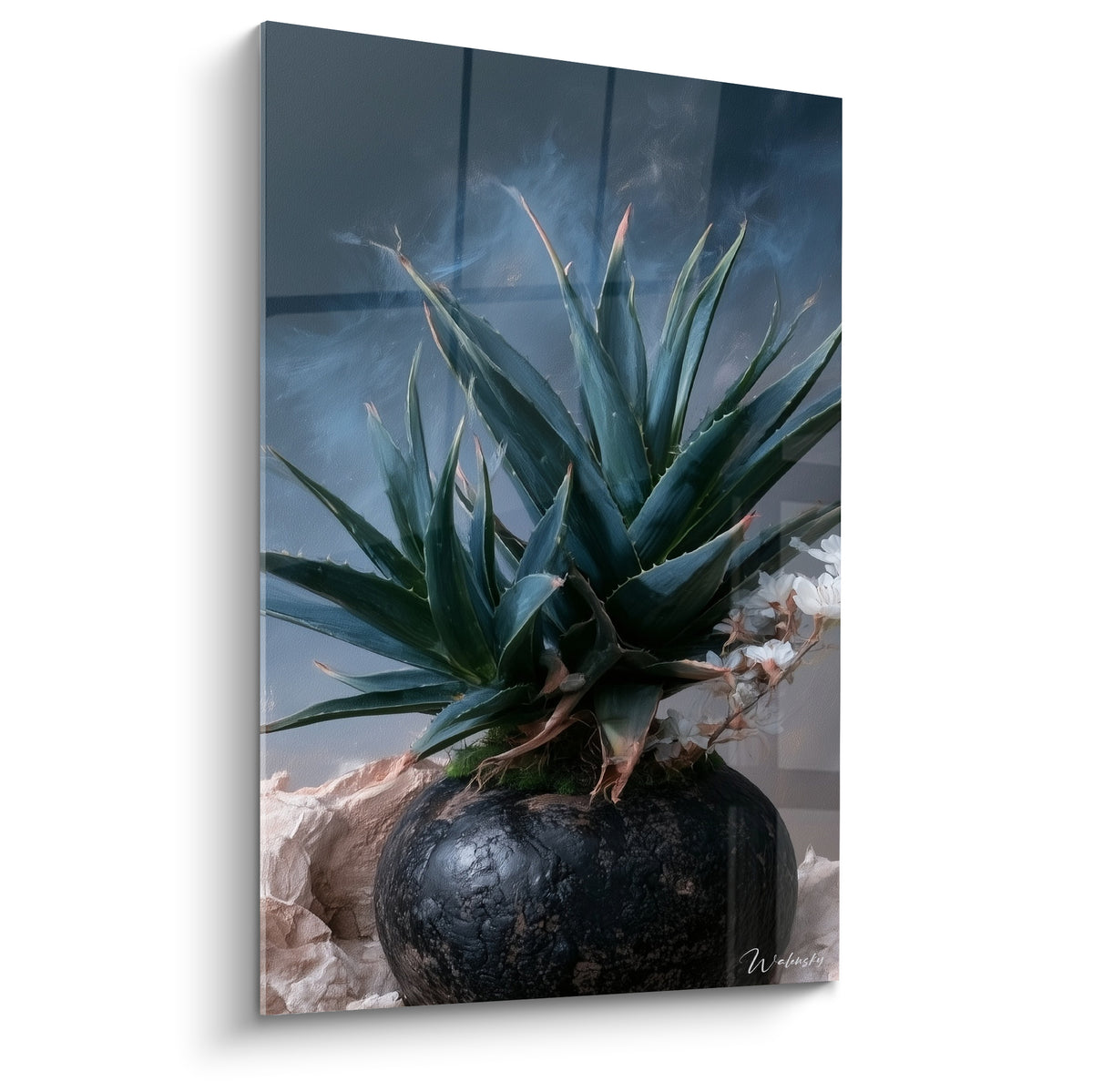 Aloe vera aux feuilles vertes déployées dans un vase noir craquelé sur fond bleu marine brumeux