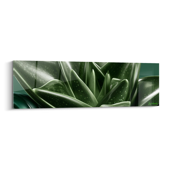 Tableau Aloe vera vert foncé et clair moucheté - Rosette en éventail - Edition Aloe vera