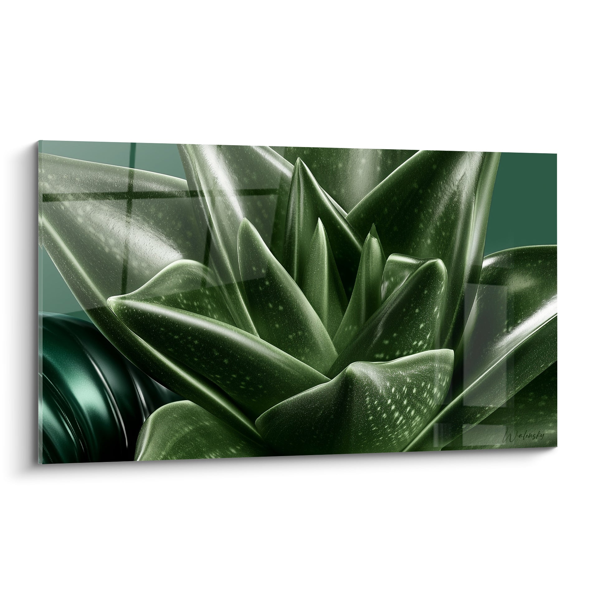 Aloe vera vert émeraude aux feuilles moucheté, pointes acérées et fond anthracite quadrillé