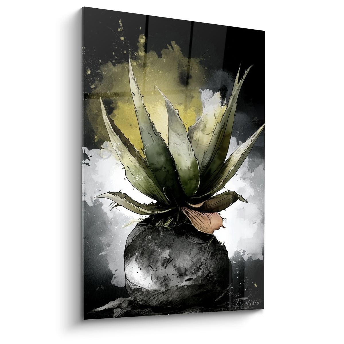 Aloe vera vert olive aux feuilles épineuses jaillissant d'un fond noir éclaboussé de doré