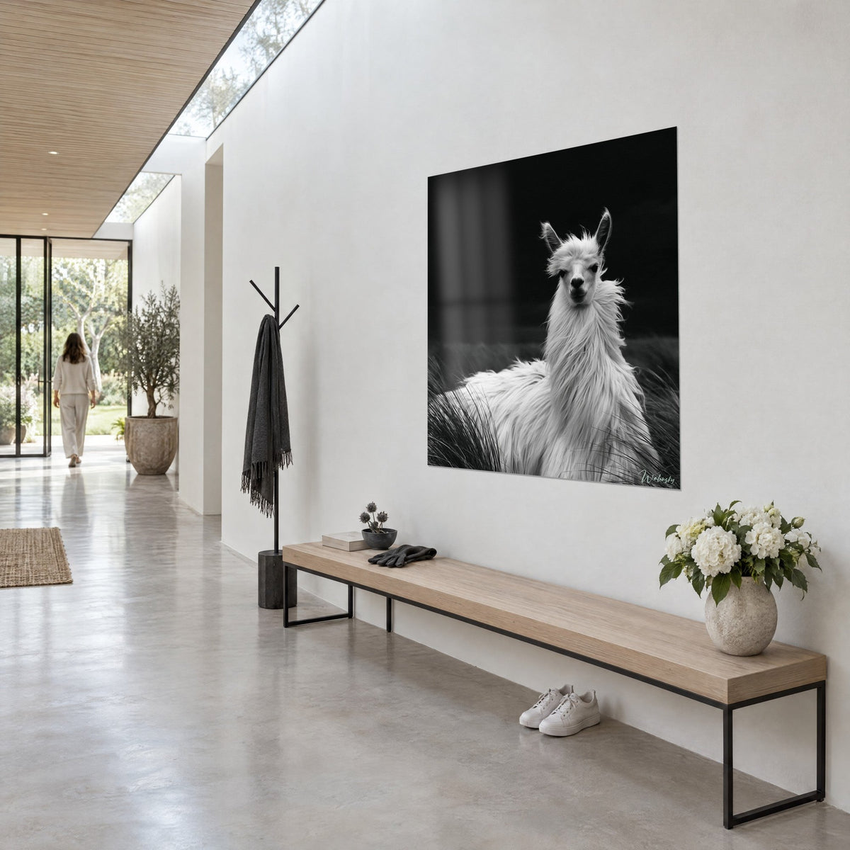 Tableau lama laineux à la toison blanche, oreilles dressées sur fond noir profond, accroché près d'un banc en bois clair, vue de trois-quarts