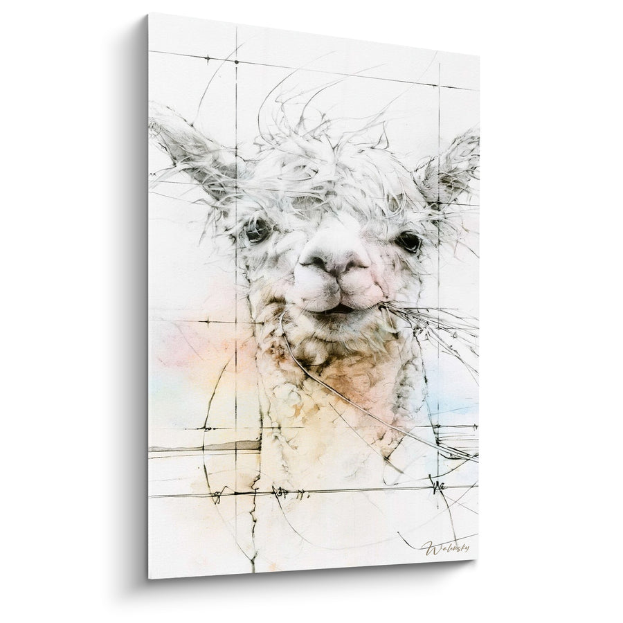 Tableau Alpaga blanc et beige aux lignes géométriques - Croquis technique animalier - Edition Alpaga
