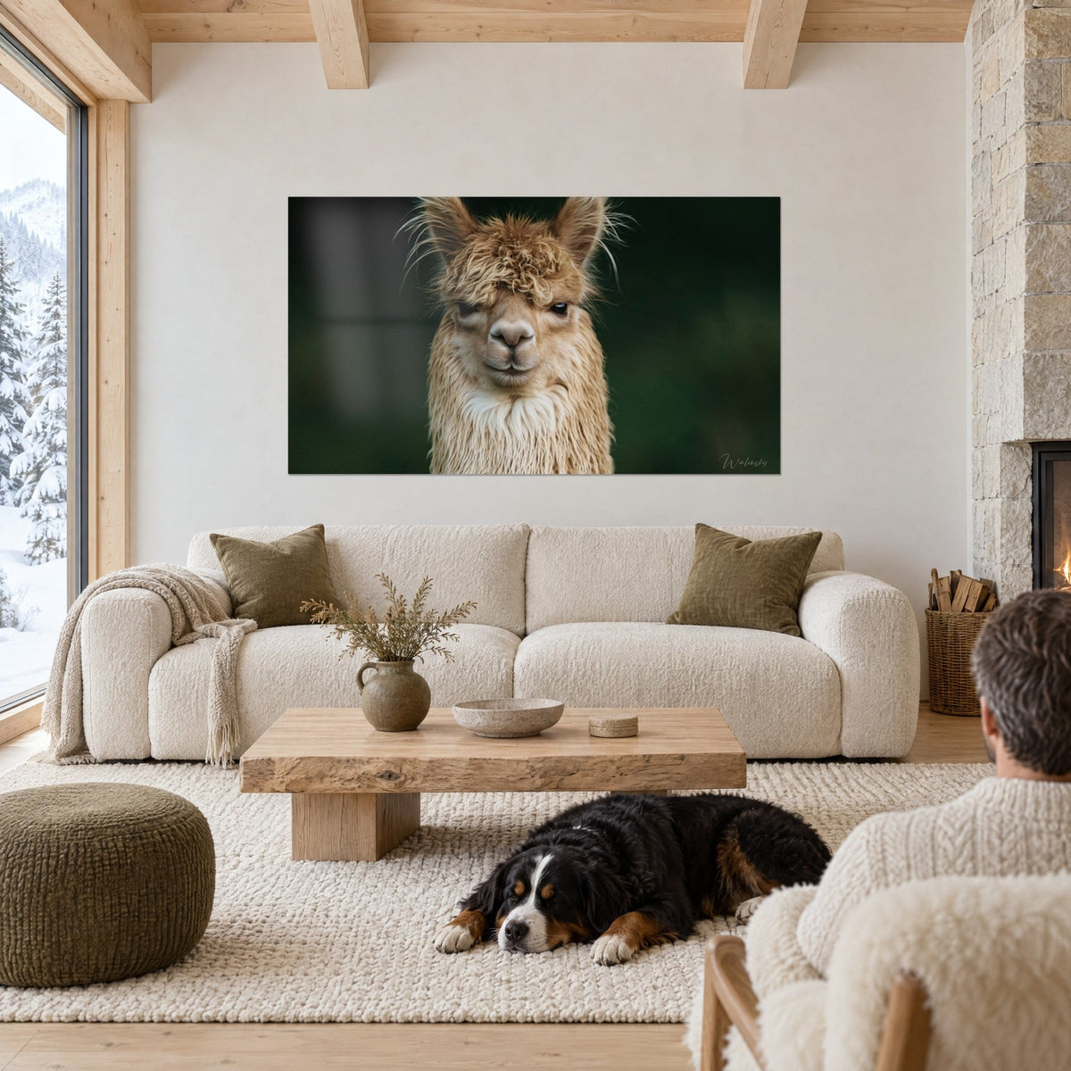 Wall art beige curly-coated alpaca on forest green background, black and white dog lying down, above a sofa in a bright living room