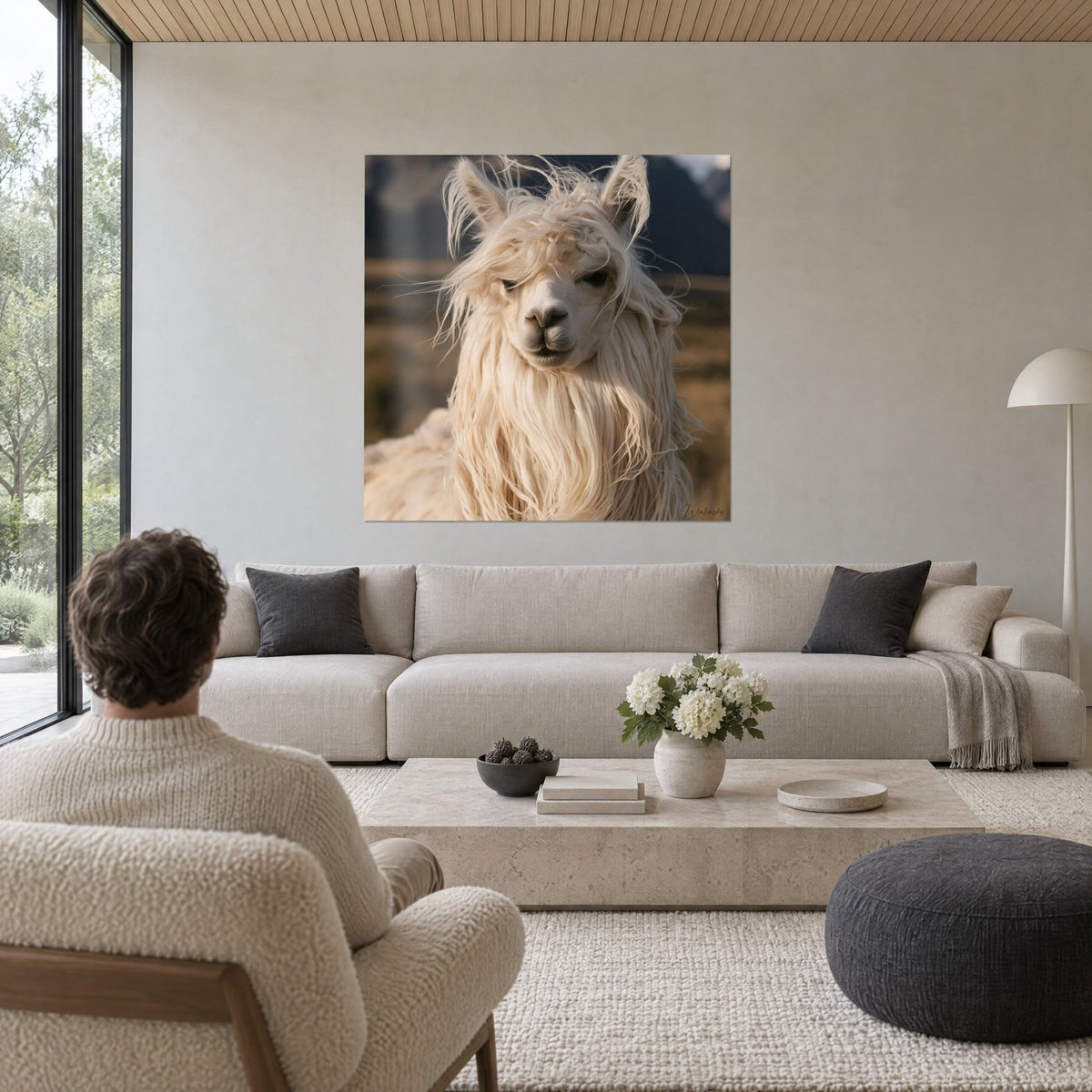 Cuadro de alpaca con flequillo desordenado, vellón crema y fondo marrón dorado, visto de espaldas sobre un sofá en un salón luminoso