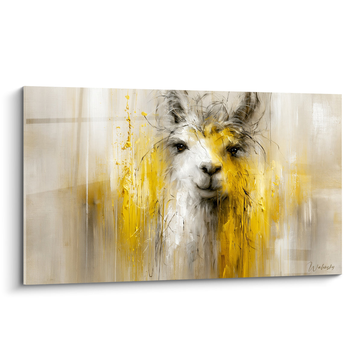 Alpaga blanc au regard doux, pelage strié de jaune doré et de coulures noires expressives