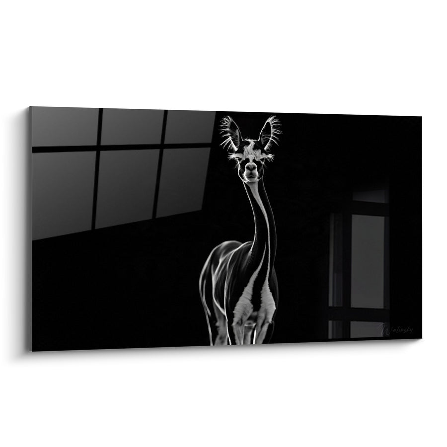 Tableau Alpaga noir aux contours lumineux argentés - Silhouette dans l'ombre - Edition Alpaga