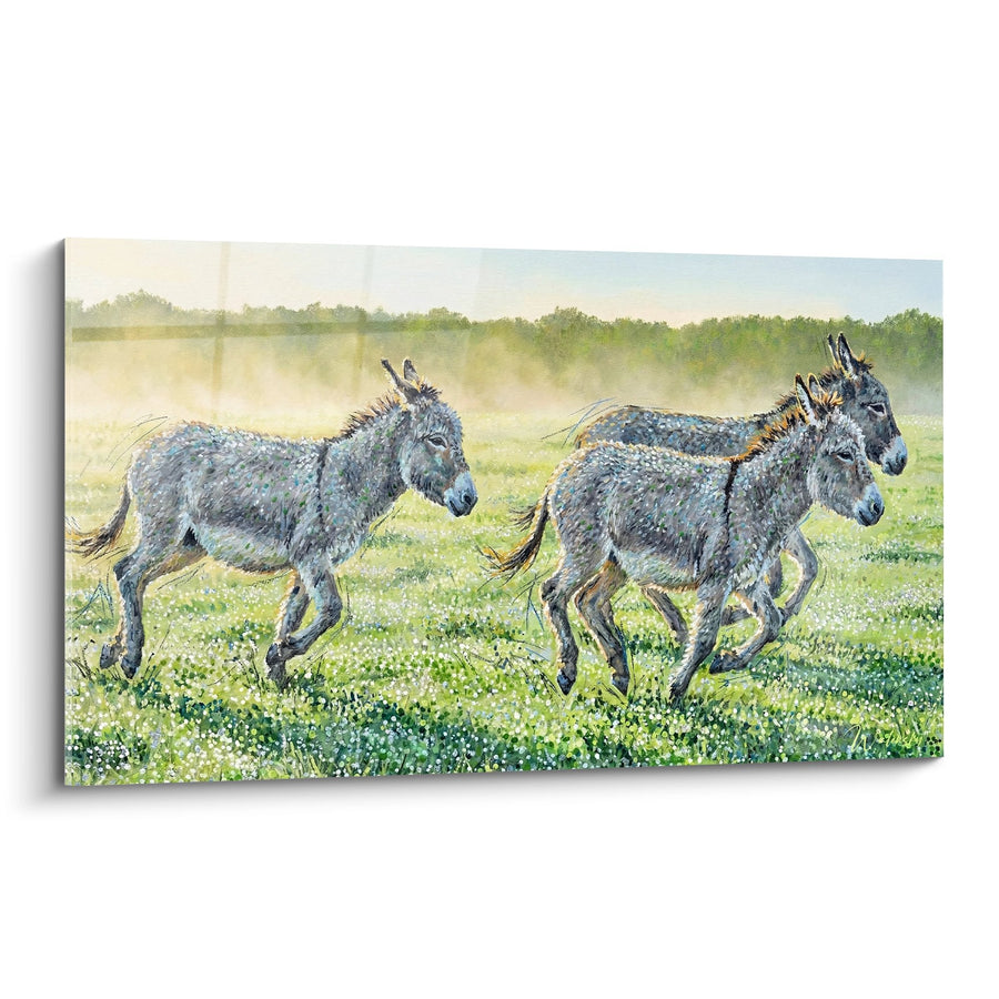 Tableau trois ânes gris galopant dans prairie fleurie - Liberté sauvage - Edition âne