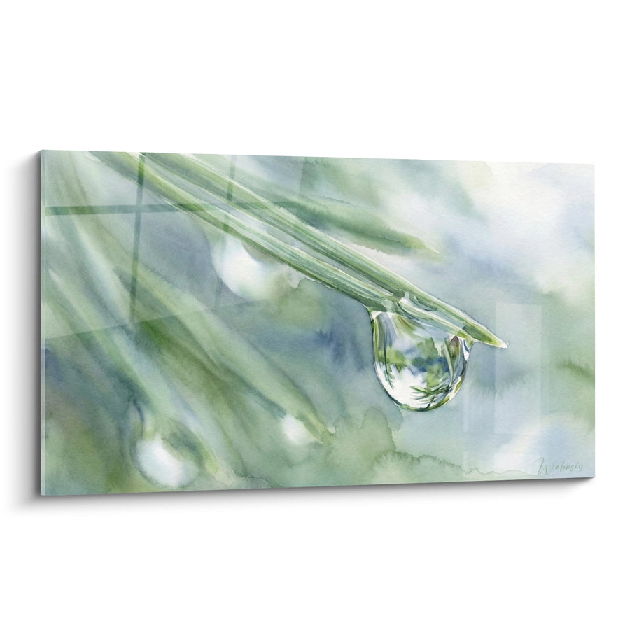 Tableau Branche de Bonsaï avec Goutte de Rosée à l'Aquarelle - Méditation Zen - Edition Bonsaï