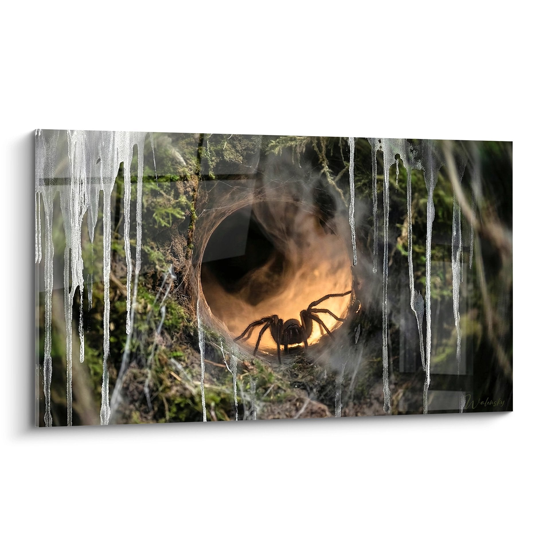 Schwarze Spinne auf Leinwand zwischen vereisten Stalaktiten mit goldener Beleuchtung in mysteriöser Höhle