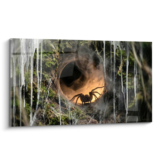 Schwarze Spinne in ihrem Netz erleuchtet durch Stalaktiten - Mysterium der Höhlen - Spinnen Edition