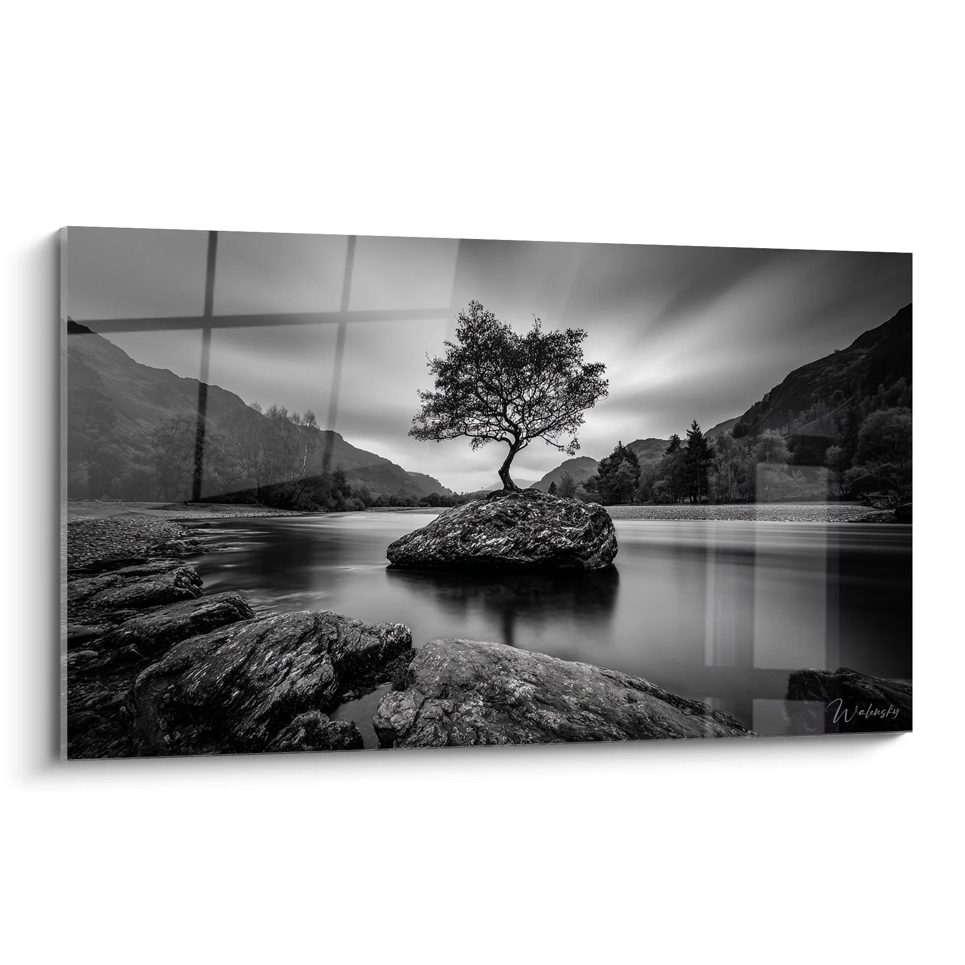 Tableau noir et blanc arbre solitaire sur rocher au milieu d'un lac paisible avec montagnes