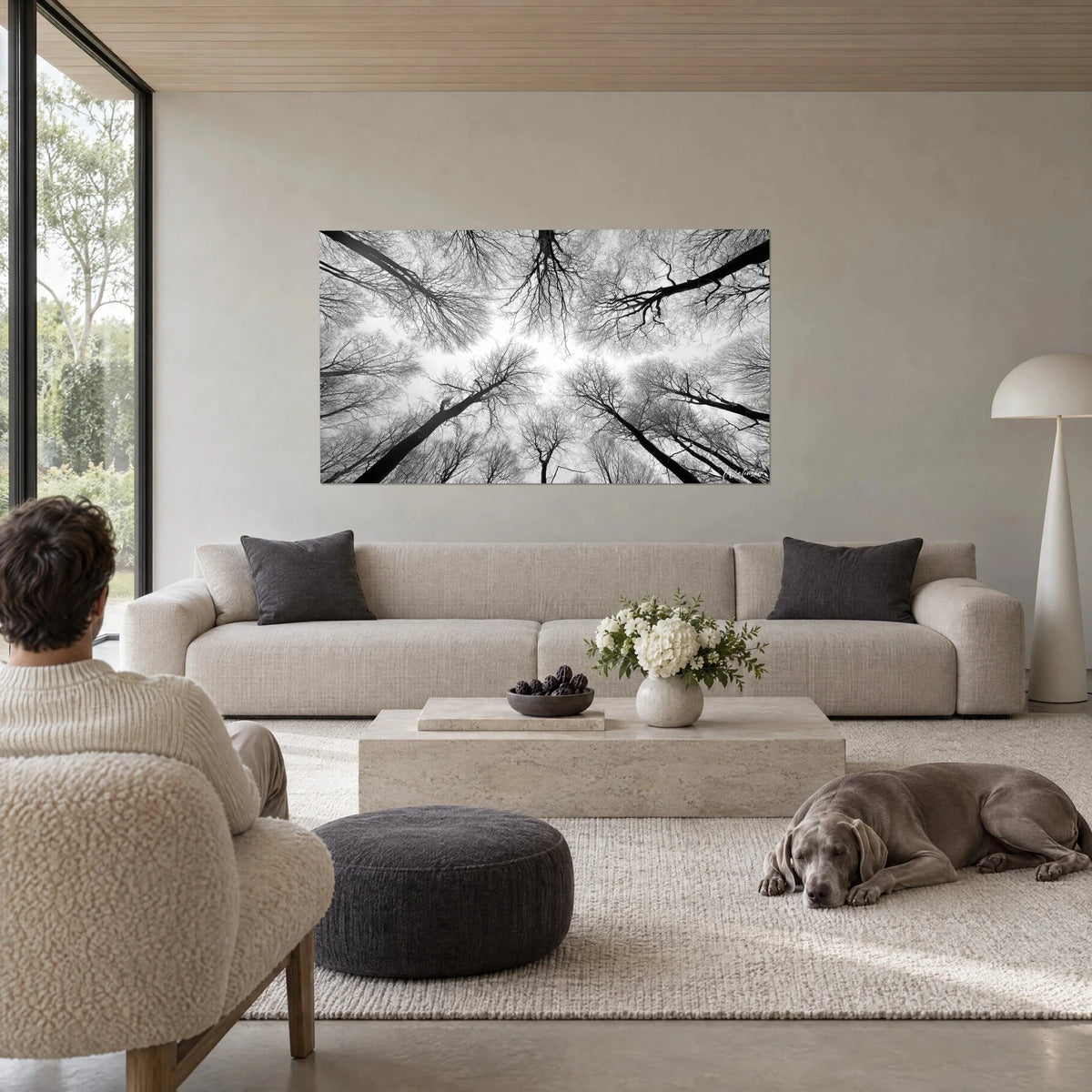 Tableau cimes de hêtres nues en contre-plongée, branches noires sur ciel blanc, au-dessus d'un canapé dans un salon lumineux