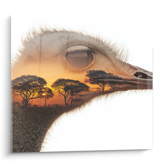 Schilderij Dubbele Belichting Struisvogelkop en Gouden Savanne - Artistieke Fusie - Struisvogel Editie