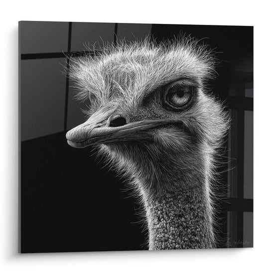 Zwart-wit Struisvogel Portret Gedetailleerd Doordringende Blik - Wilde Majesteit - Struisvogel Editie