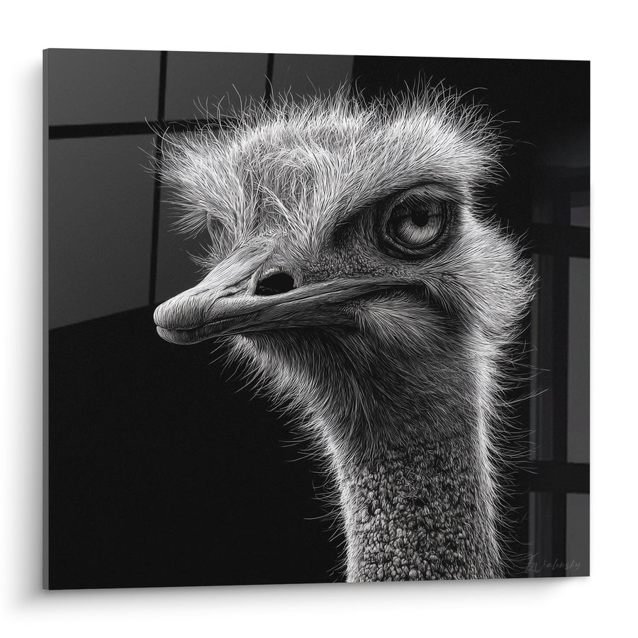 Tableau Autruche Noir et Blanc Portrait Détaillé Regard Perçant - Majesté Sauvage - Edition Autruche