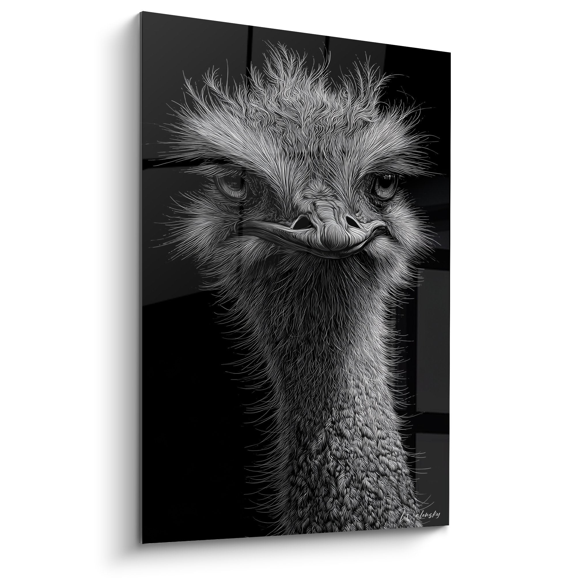 Tableau autruche noir et blanc portrait plumage herise regard intense art animalier monochrome decoration murale