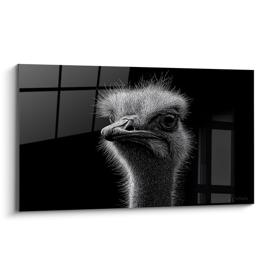 Tableau Autruche noire et blanche au regard perçant - Face à l'ombre - Edition Autruche