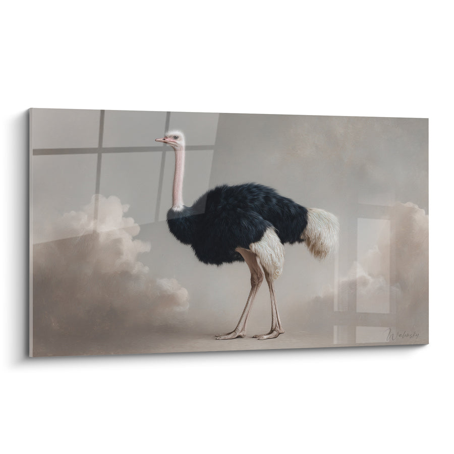Tableau Autruche noire aux nuages vaporeux - Traversée céleste - Edition Autruche