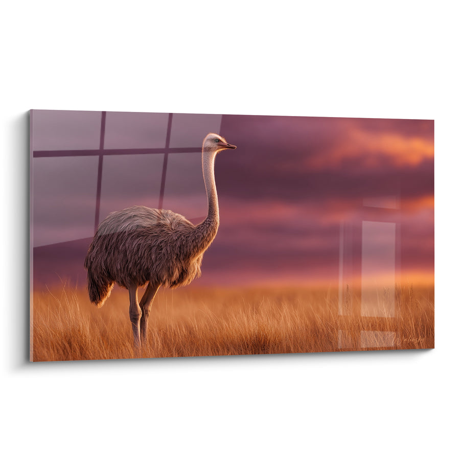 Tableau Autruche brune dans la savane pourpre - Veille au crépuscule - Edition Autruche