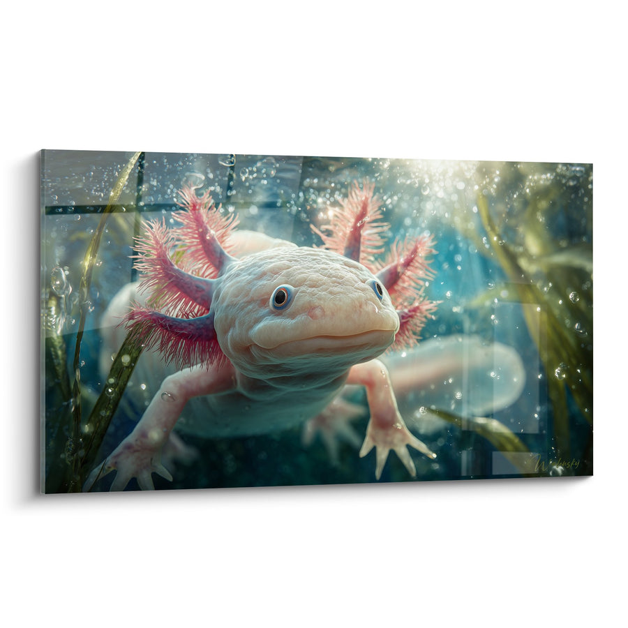 Axolotl mit rosa Kiemen im aquatischen Lebensraum - Unterwasserwunder - Axolotl Edition