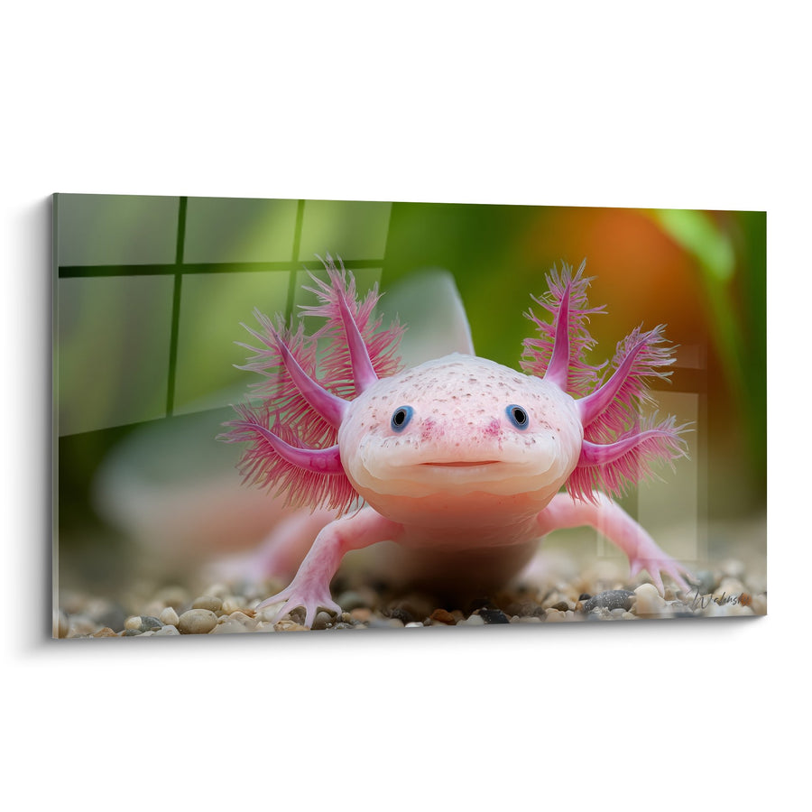 Axolotl Kunstdruck Rosa mit Schwebenden Kiemen im Aquarium - Faszinierende Aquatische Kreatur - Axolotl Edition
