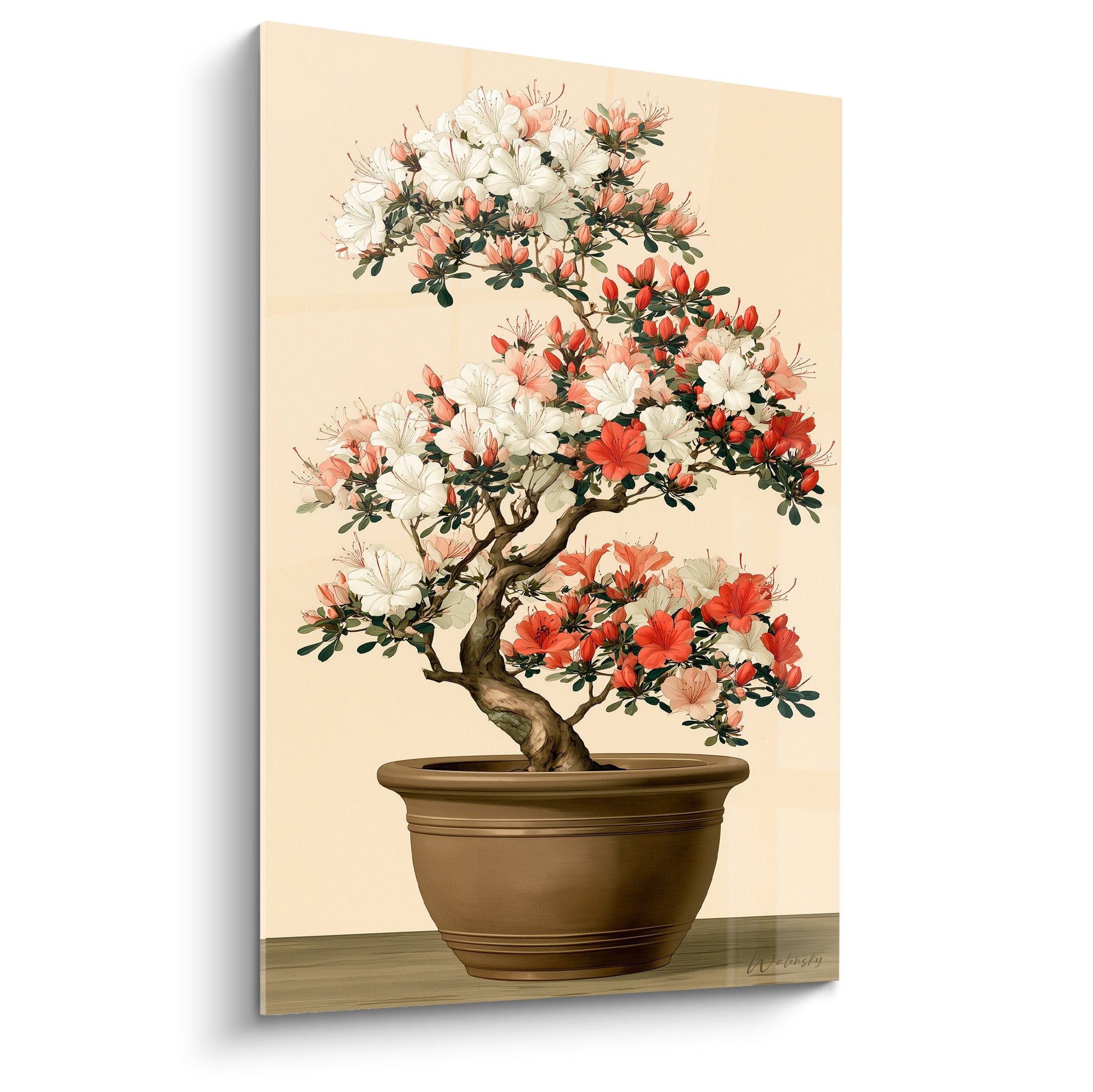 Bonsaï azalée aux fleurs blanches et corail dans un pot terracotta, style illustratif japonisant