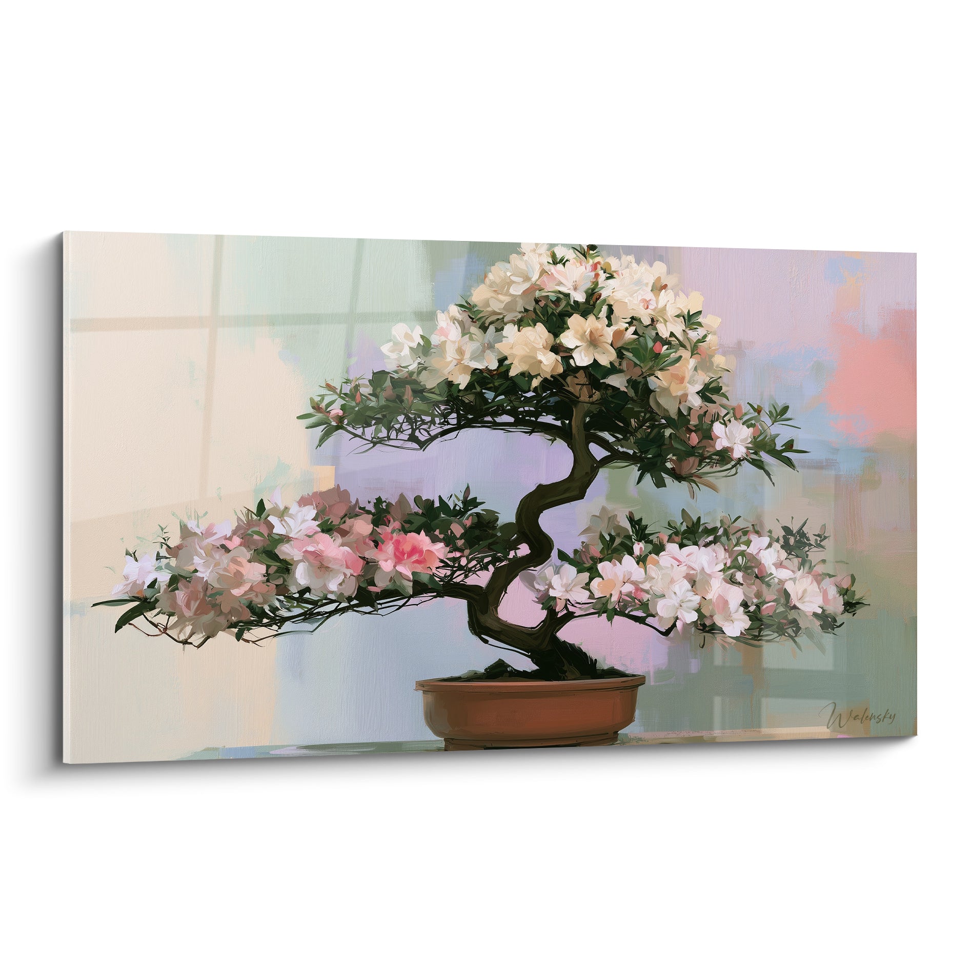 Bonsaï Azalée aux fleurs roses et blanches, tronc brun sinueux, pot terracotta, fond pastel