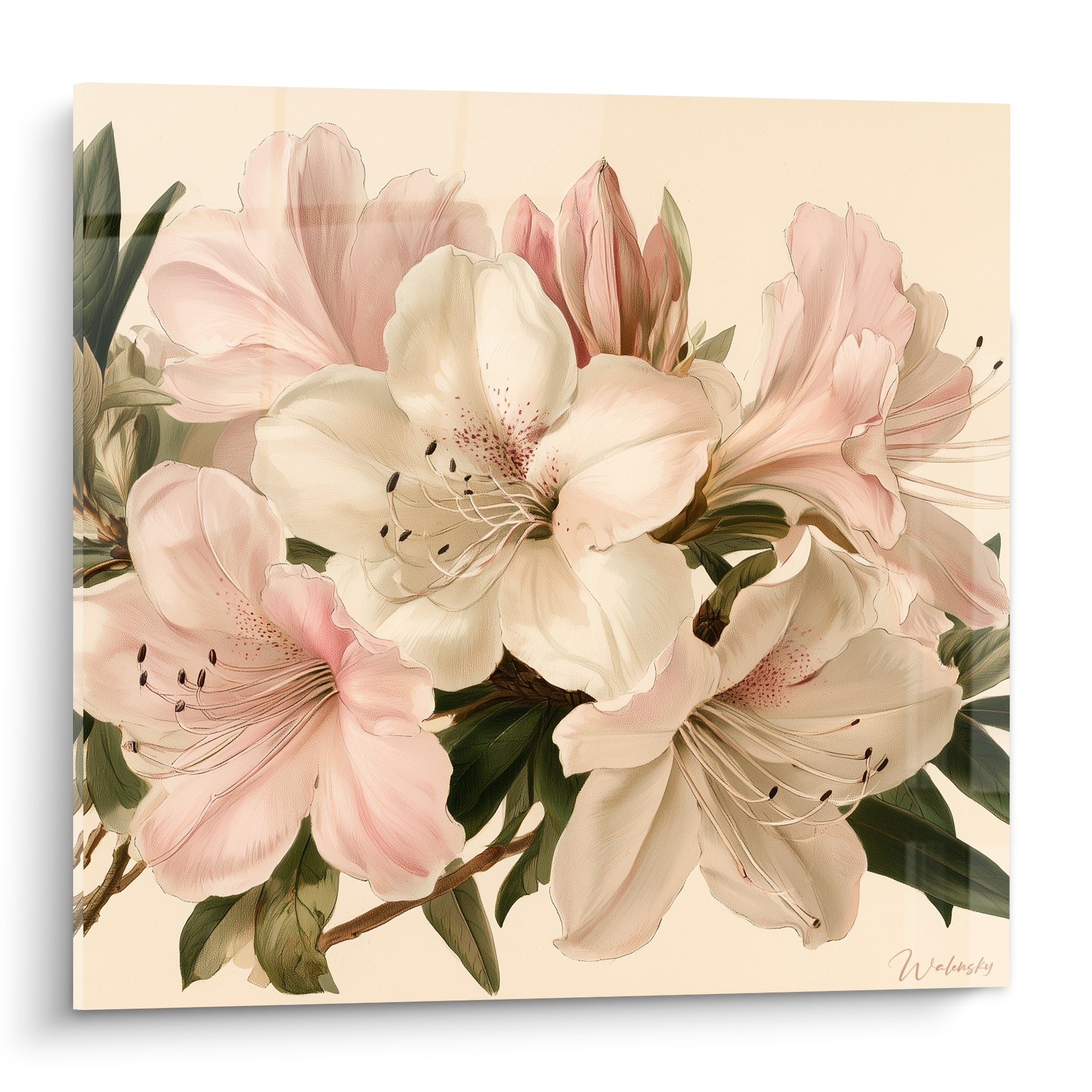 Azalées roses et blanches en bouquet dense sur fond ivoire, style aquarelle botanique délicat