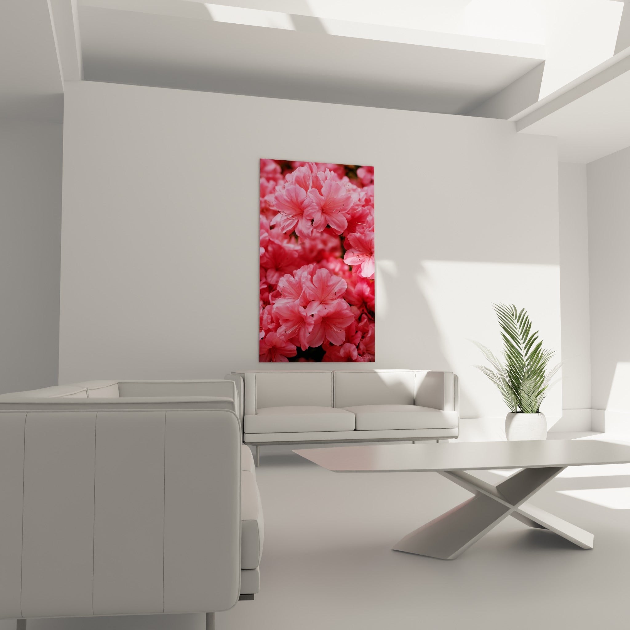 Massif d'azalées rose poudré et corail suspendu au-dessus d'un canapé dans un salon lumineux