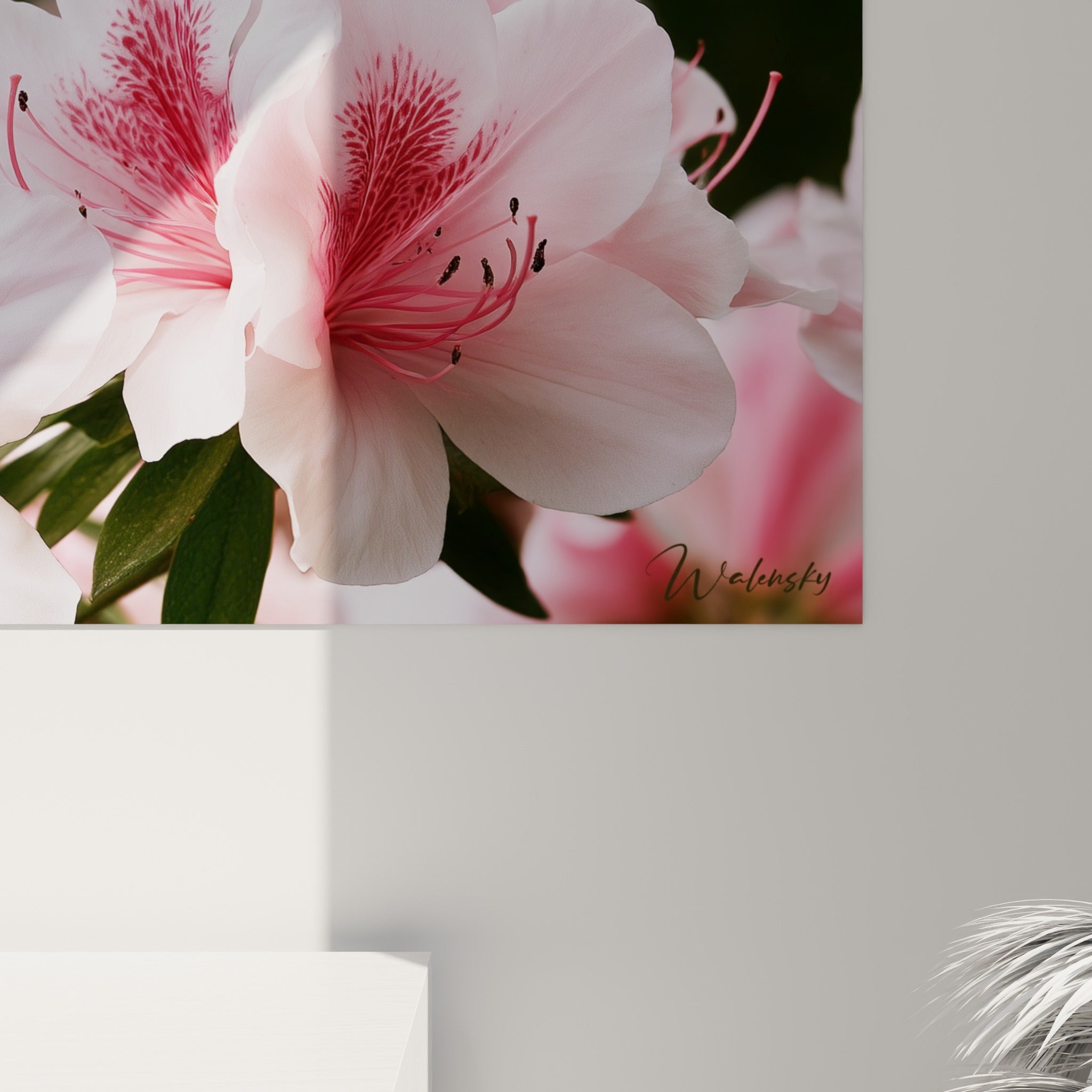 Détail des pétales d'azalée blancs veinés de rose fuchsia, grain fin et lumière douce sur la toile