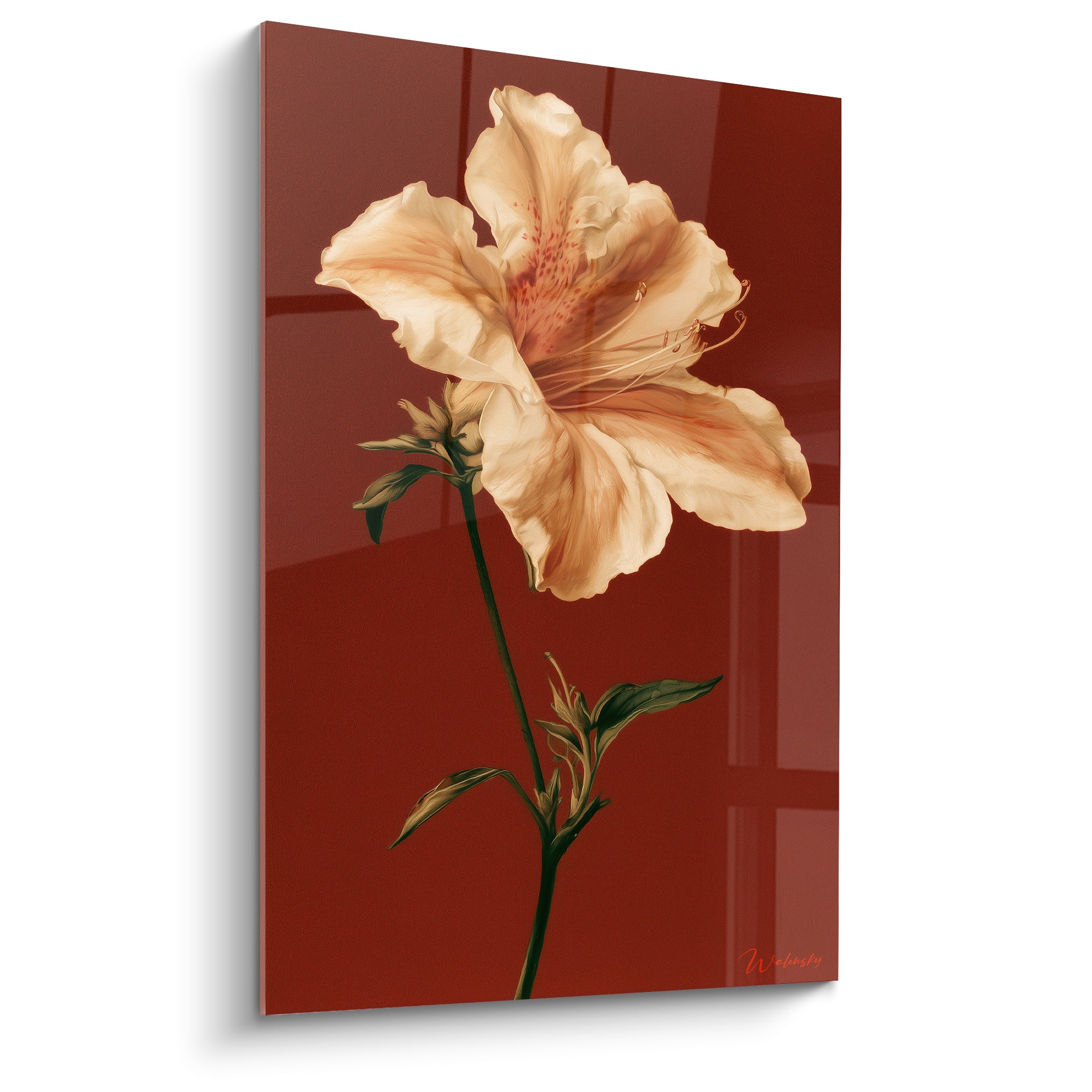 Azalée crème et terracotta aux pétales veinés de rose, tige verte, fond uni brique