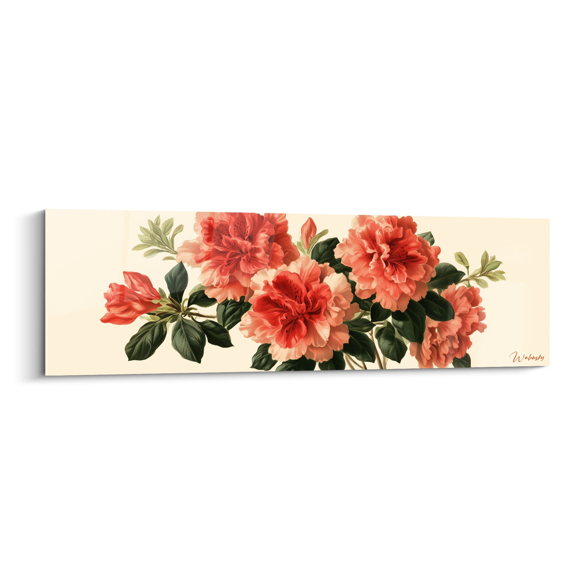 Azalées corail et roses en pleine floraison sur fond ivoire, feuillage vert profond détaillé