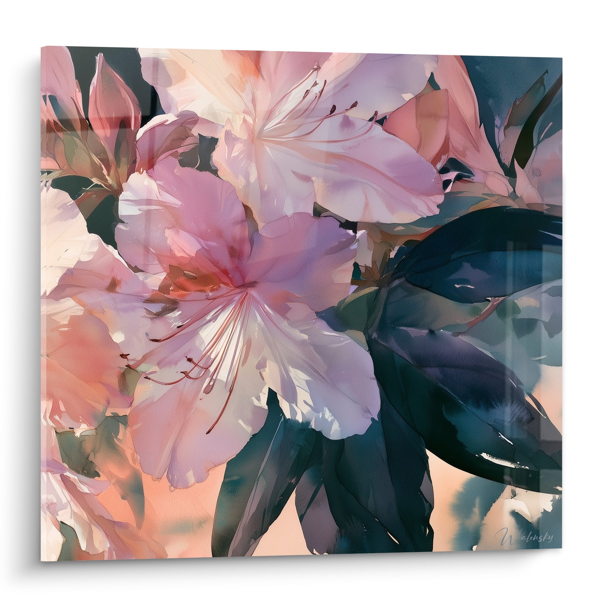 Azalée aux pétales roses et blancs nacrés, feuilles anthracite, aquarelle lumineuse en gros plan