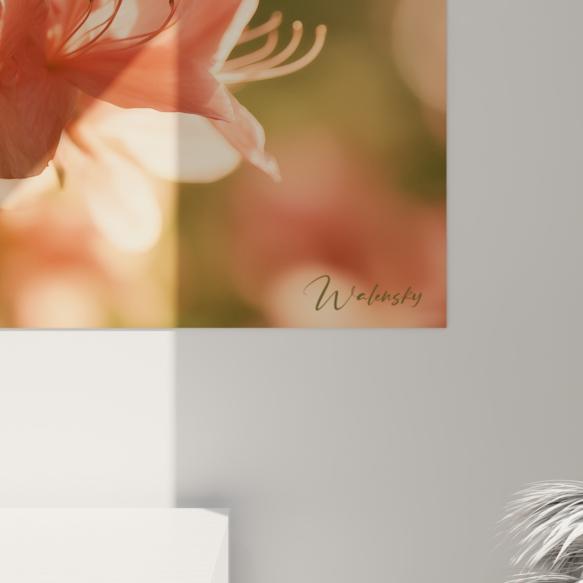 Détail des pétales d'azalée rose translucide et étamines fines sur fond bokeh ambré