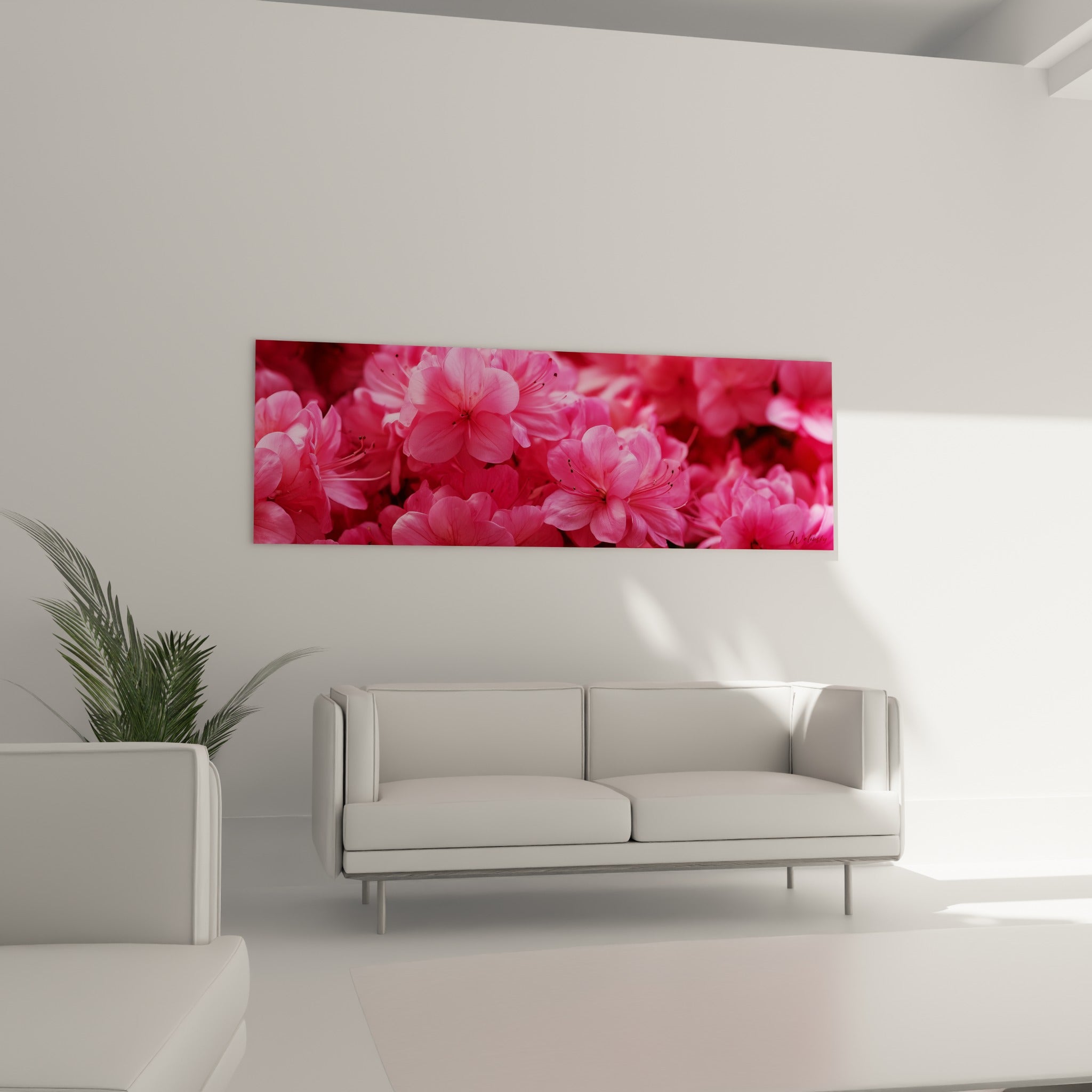 Corolles d'azalée rose pâle et fuchsia au-dessus d'un canapé dans un salon lumineux