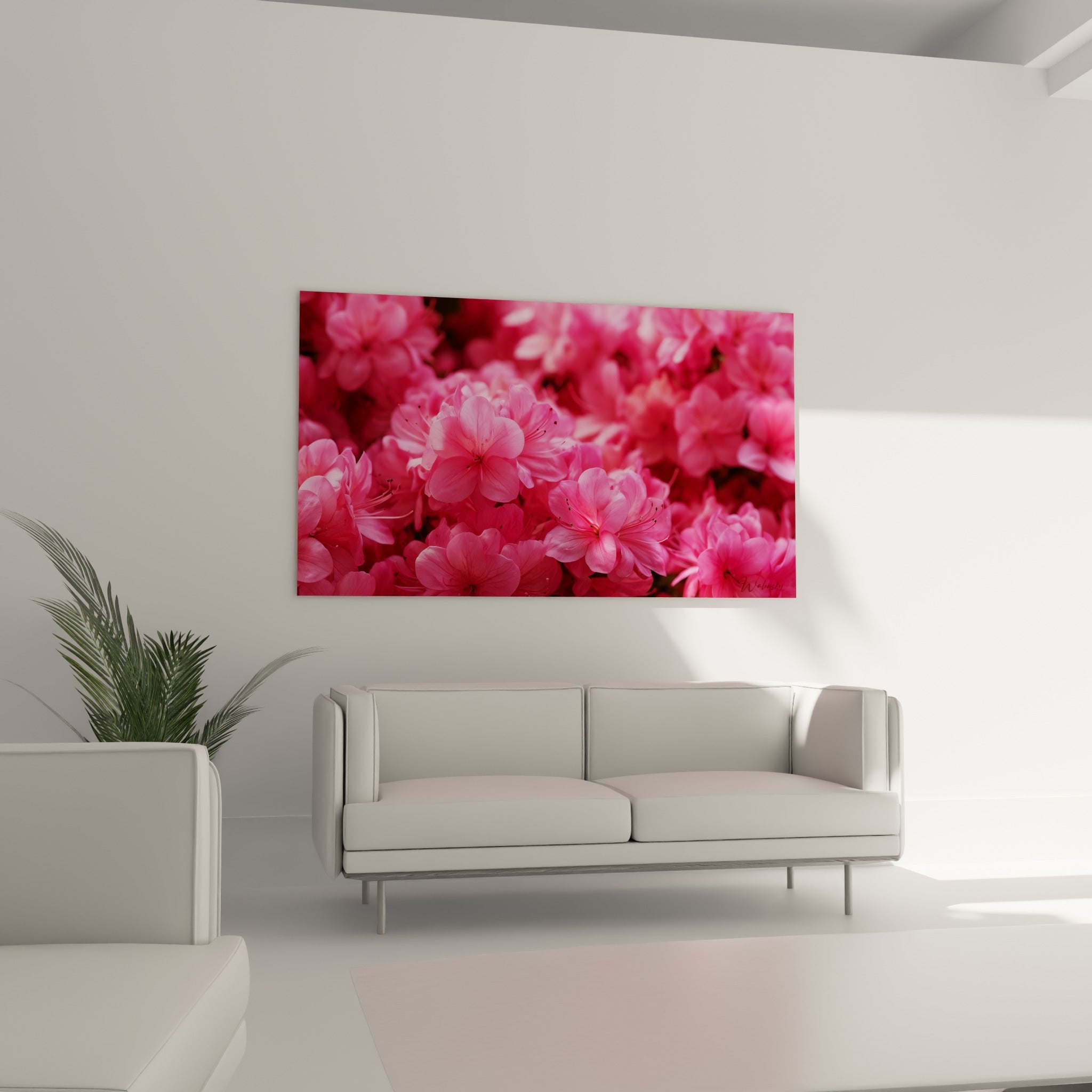 Fleurs d'azalée rose magenta et pastel au-dessus d'un canapé dans un salon lumineux