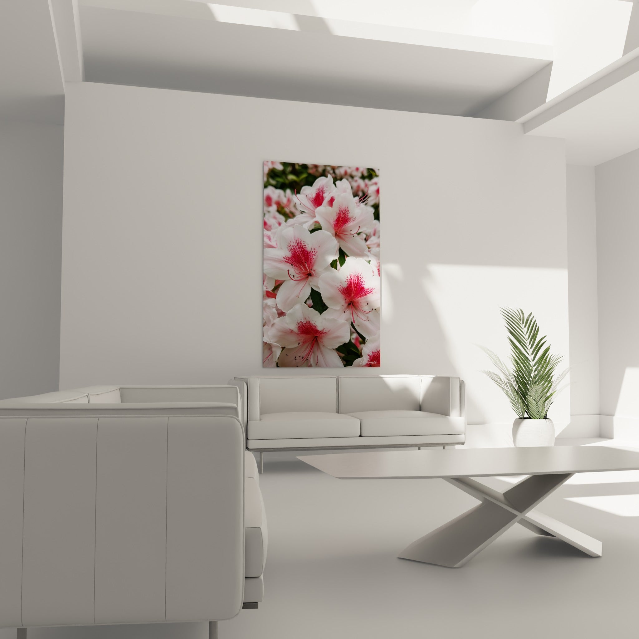 Corolles d'azalée blanches tachetées de fuchsia suspendues au-dessus d'un canapé dans un salon lumineux