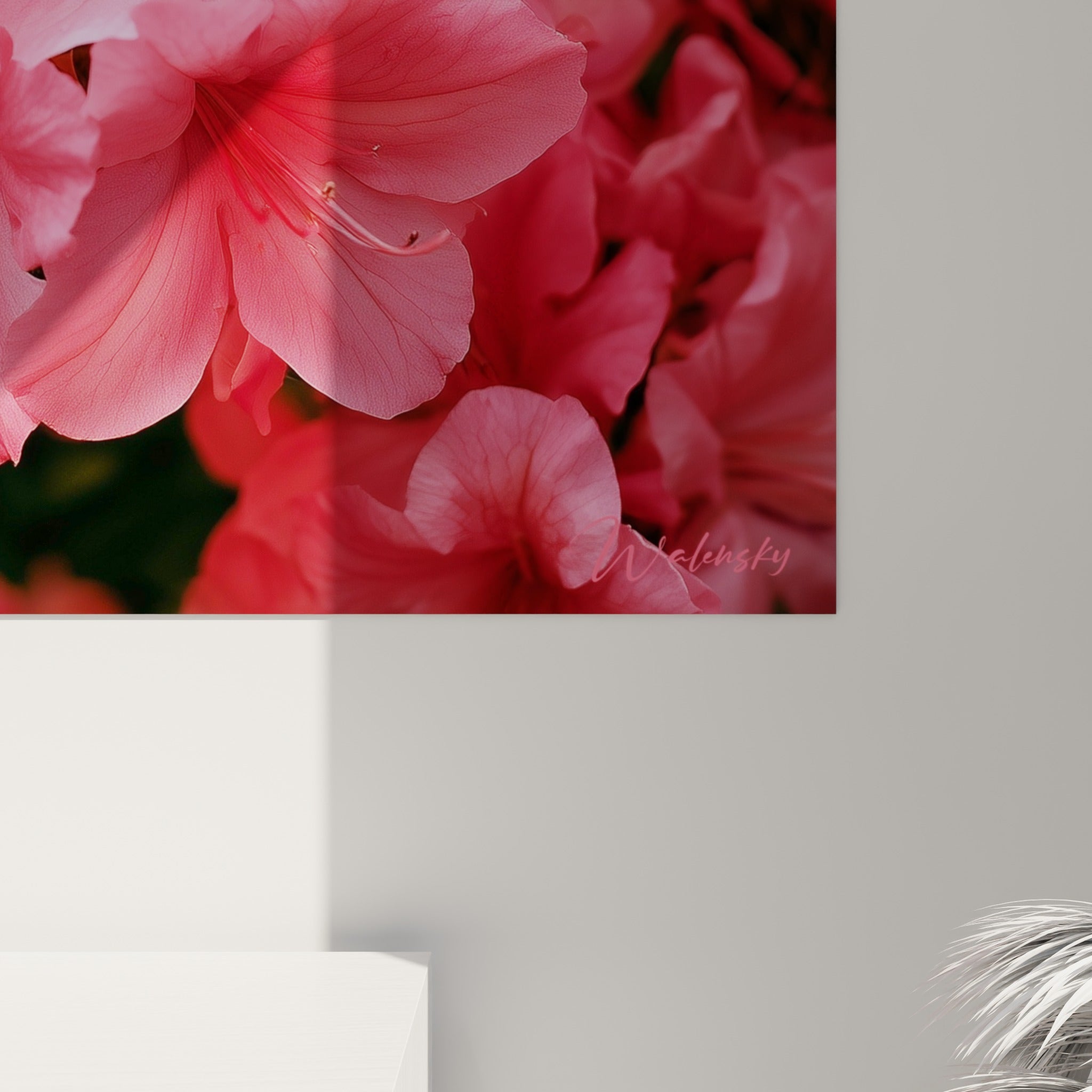 Détail des pétales d'azalée où le rose vif et le corail se mêlent avec un grain photographique visible