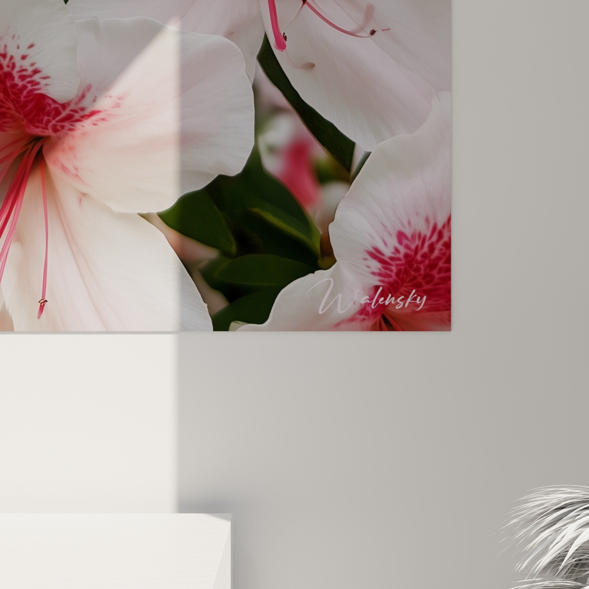 Détail du grain de l'impression révélant les nuances fuchsia et le blanc laiteux des pétales d'azalée