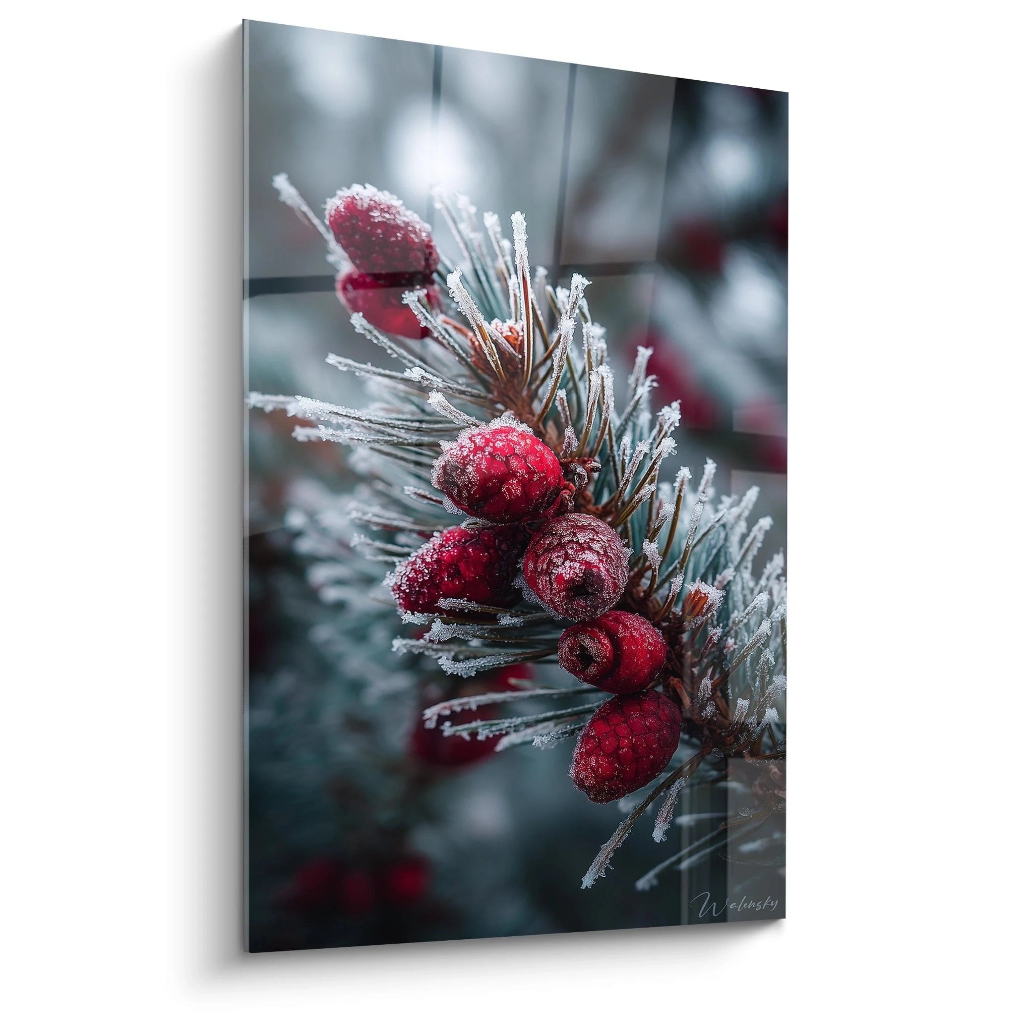 Tableau mural baies givrées avec des branches de conifères et des baies rouges glacées