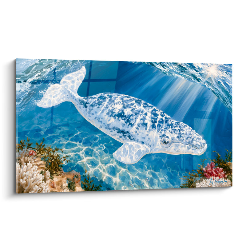 Tableau Baleine blanche et bleue récif corallien - Poissons et coraux - Edition Baleine